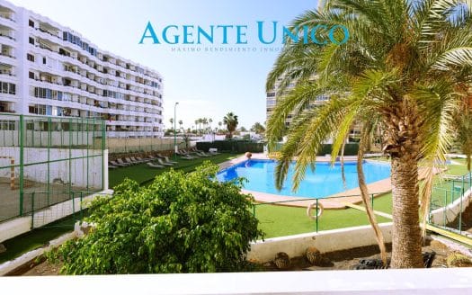 Estudio en Playa del Ingles.